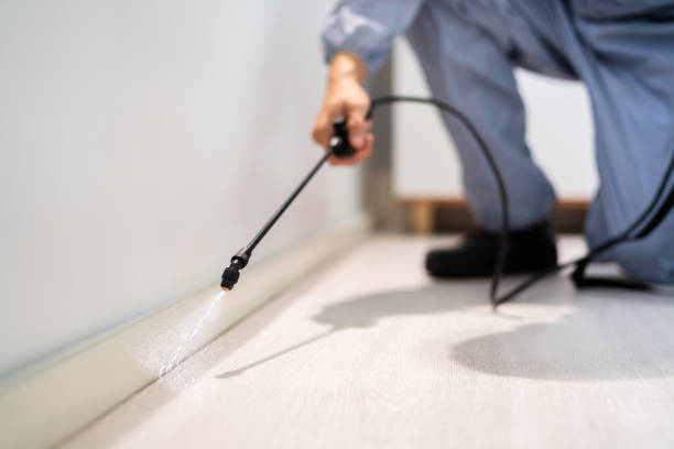 Licensed Termite Control service in Surrey, ND - Nex Pest Control