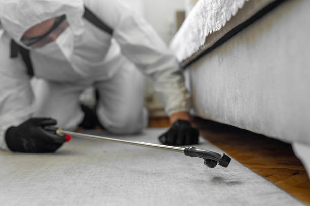 Professional Termite Control technician working in Surrey, ND