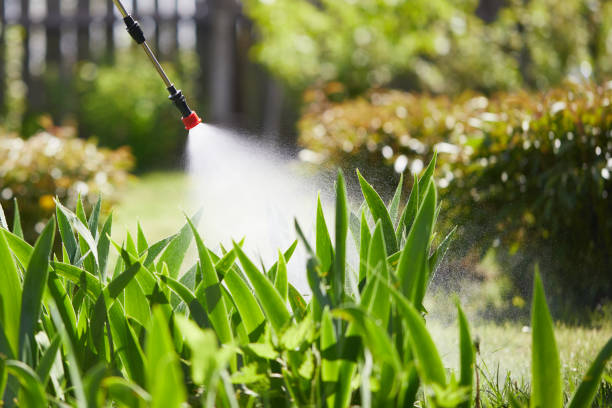 24/7 Emergency Termite Control experts in Surrey, ND