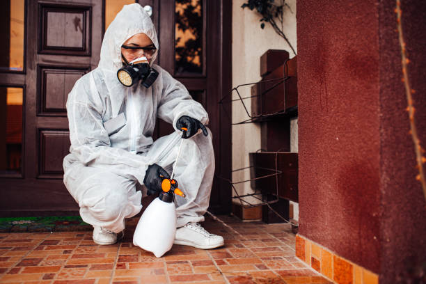 Reliable Termite Control contractor in Surrey, ND by Nex Pest Control