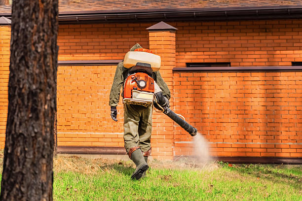 Top rated local Termite Control specialists in Surrey, ND
